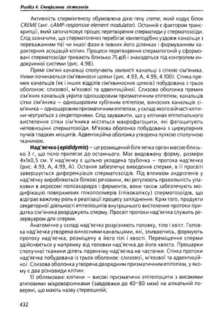 Гістологія людини. О. Д.Луцик,  Київ, 2003