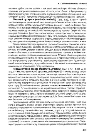 Гістологія людини. О. Д.Луцик,  Київ, 2003