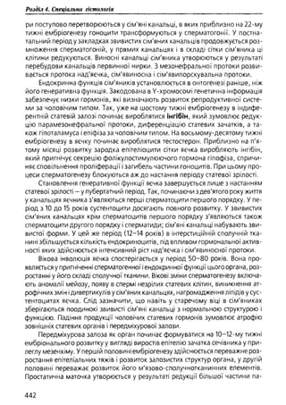 Гістологія людини. О. Д.Луцик,  Київ, 2003