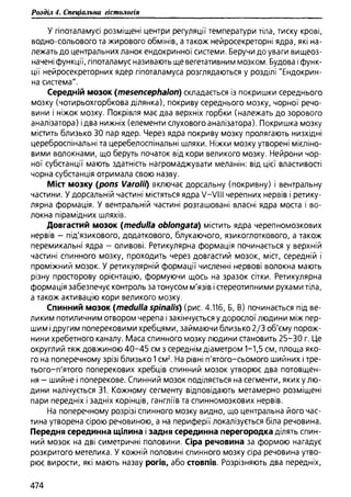 Гістологія людини. О. Д.Луцик,  Київ, 2003