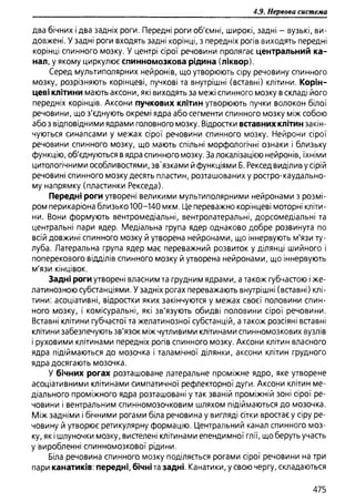 Гістологія людини. О. Д.Луцик,  Київ, 2003