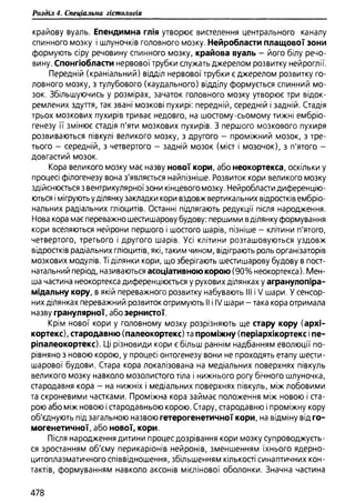 Гістологія людини. О. Д.Луцик,  Київ, 2003