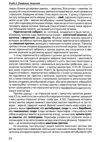 Гістологія людини. О. Д.Луцик,  Київ, 2003