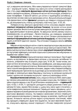 Гістологія людини. О. Д.Луцик,  Київ, 2003