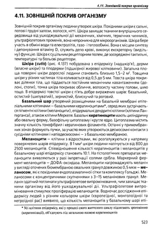 Гістологія людини. О. Д.Луцик,  Київ, 2003