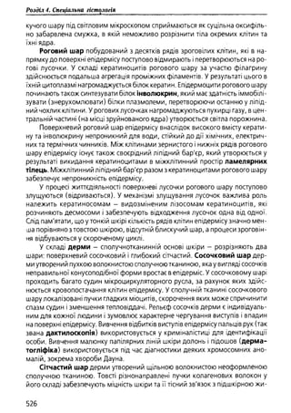 Гістологія людини. О. Д.Луцик,  Київ, 2003