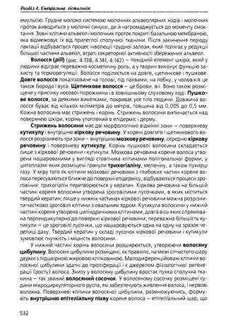 Гістологія людини. О. Д.Луцик,  Київ, 2003