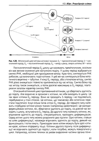 Гістологія людини. О. Д.Луцик,  Київ, 2003