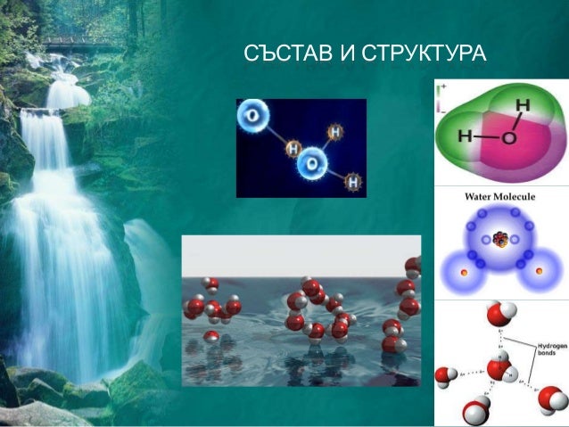 Водата като екологичен фактор на сушата