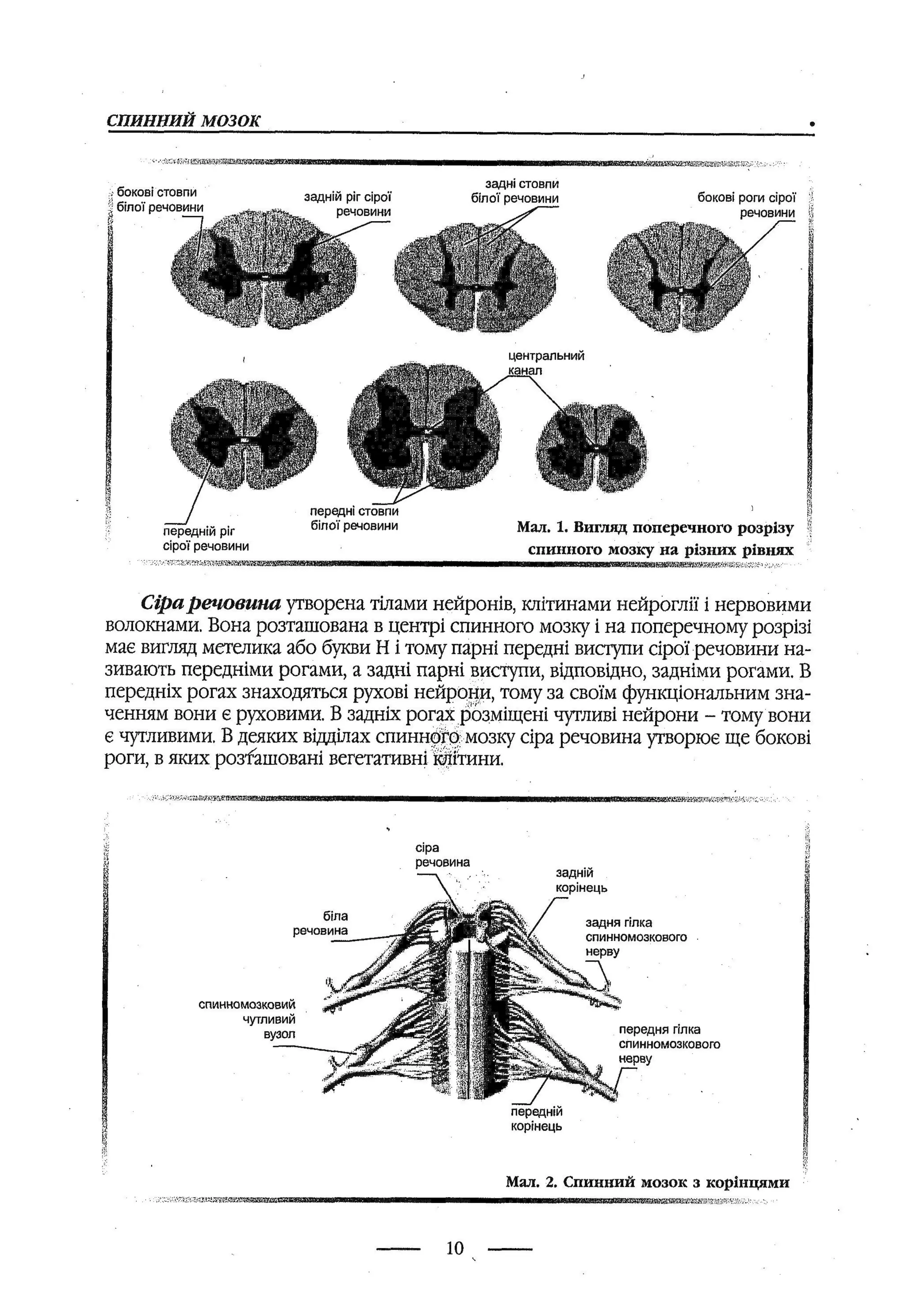 медсестринство в неврології за ред. В.М. Пашковський, І.І. Кричун, І.І. Кривецька, І.Я. ст.254 , 2003р