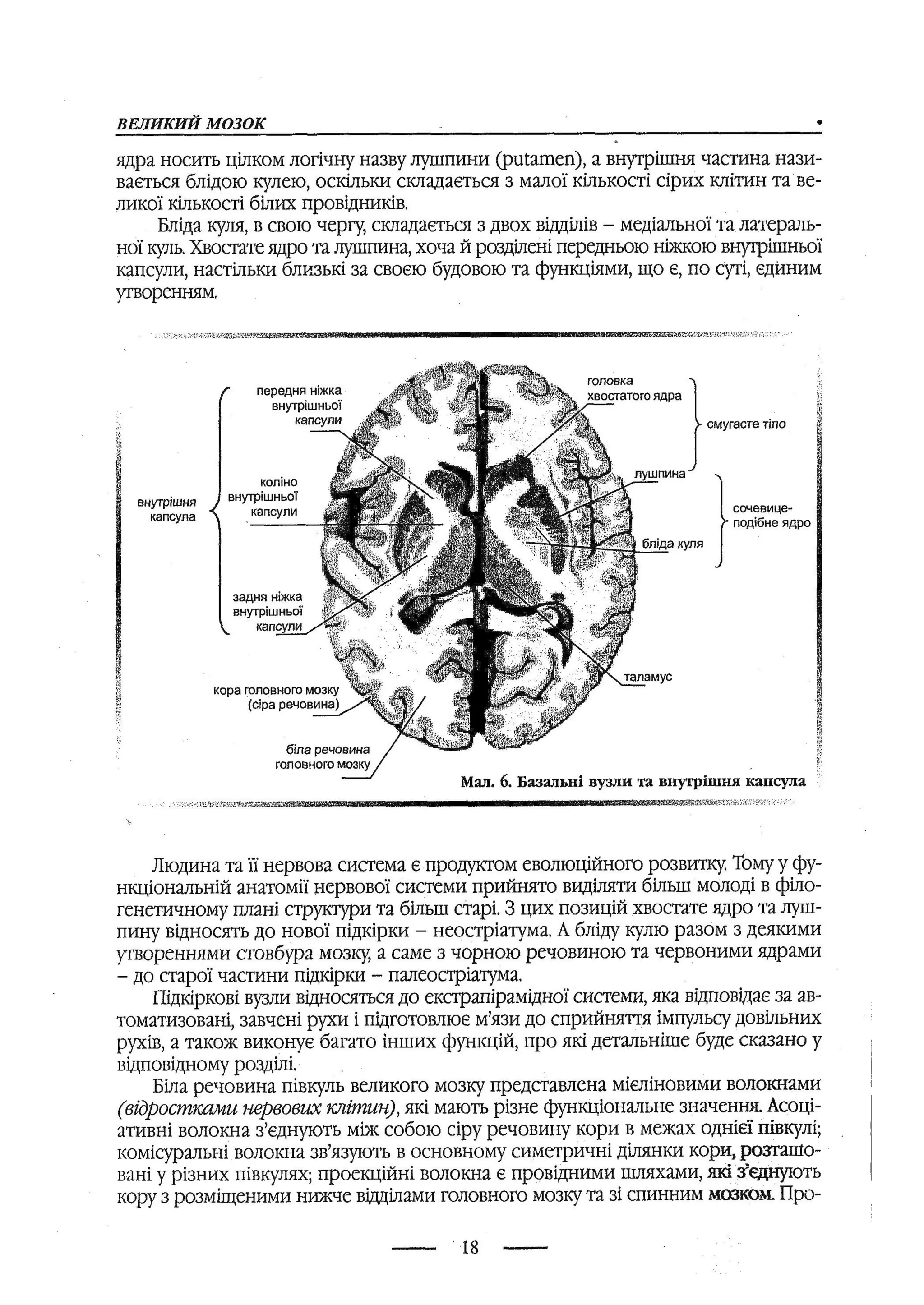 медсестринство в неврології за ред. В.М. Пашковський, І.І. Кричун, І.І. Кривецька, І.Я. ст.254 , 2003р