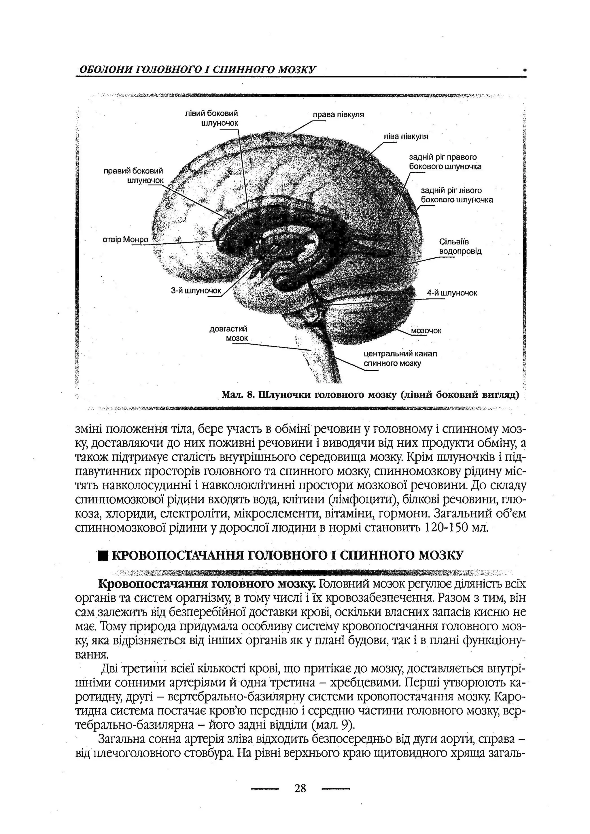 медсестринство в неврології за ред. В.М. Пашковський, І.І. Кричун, І.І. Кривецька, І.Я. ст.254 , 2003р