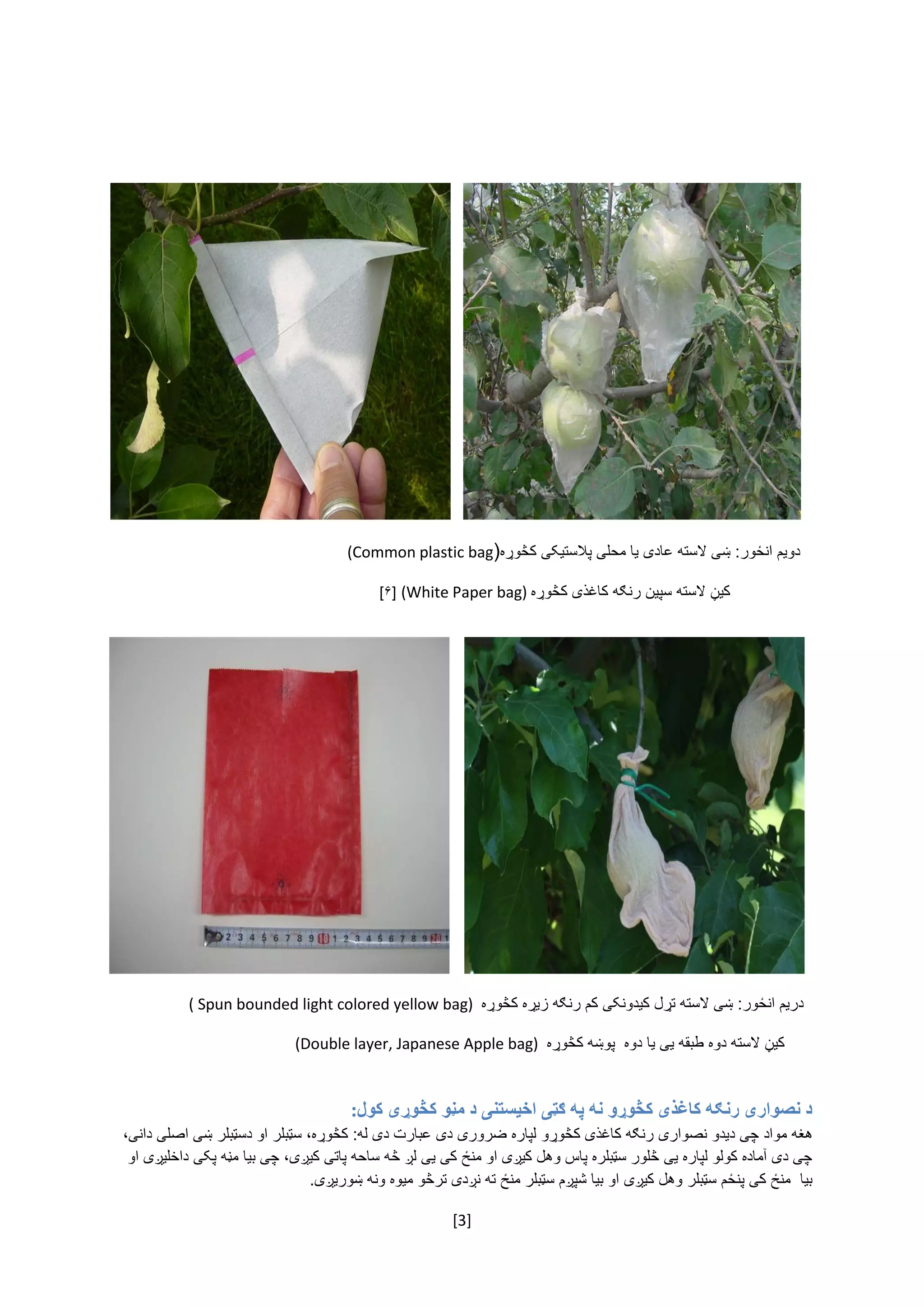 [3]
‌
:‫کول‬ ‫کڅوړی‬ ‫مڼو‬ ‫د‬ ‫اخيستنی‬ ‫ګټی‬ ‫په‬ ‫نه‬ ‫کڅوړو‬ ‫کاغذی‬ ‫رنګه‬ ‫نصواری‬ ‫د‬
‌‫هغه‌مواد‌چی‌دیدو‬‫نصواری‌رنګه‌کاغذی‌کڅوړو‬‌‌،‫لپاره‌ضروری‌دی‌عبارت‌دی‌له:‌کڅوړه،‌سټبلر‌او‌دسټبلر‌ښی‌اصلی‌دانی‬
‌‫چی‌دی‌آماده‌کولو‌لپاره‌یی‌څلور‌سټبلره‌پاس‌وهل‌کیږی‌او‌منځ‌کی‌یی‌لږ‌څه‌ساحه‌پاتی‌کیږی،‌چی‌بیا‌مڼه‌پکی‌داخلیږی‌او‬
‫بیا‌‌منځ‌کی‌پنځم‌سټبلر‌وهل‌کیږی‌او‌بیا‌شپږم‌سټبلر‌منځ‌ته‌نږدی‌ترڅو‌میوه‌ونه‌ښو‬.‫ریږی‬‌
‌‫دریم‌انځور:‌ښی‌السته‌تړل‌کیدونکی‌کم‌رنګه‌زیړه‌کڅوړه‬( Spun bounded light colored yellow bag)
‌‌‌‌‌‫کیڼ‌السته‌دوه‌طبقه‌یی‌یا‌دوه‌‌پوښه‌کڅوړه‬(Double layer, Japanese Apple bag)‌
‌‫دویم‌انځور:‌ښی‌السته‬‫عادی‌یا‌محلی‌پالستیکی‌کڅوړه‬(Common plastic bag)
‌‌‌‌‫کیڼ‌السته‬‫سپین‌رنګه‌کاغذی‌کڅوړه‬(White Paper bag)‌[۶]
‌
 