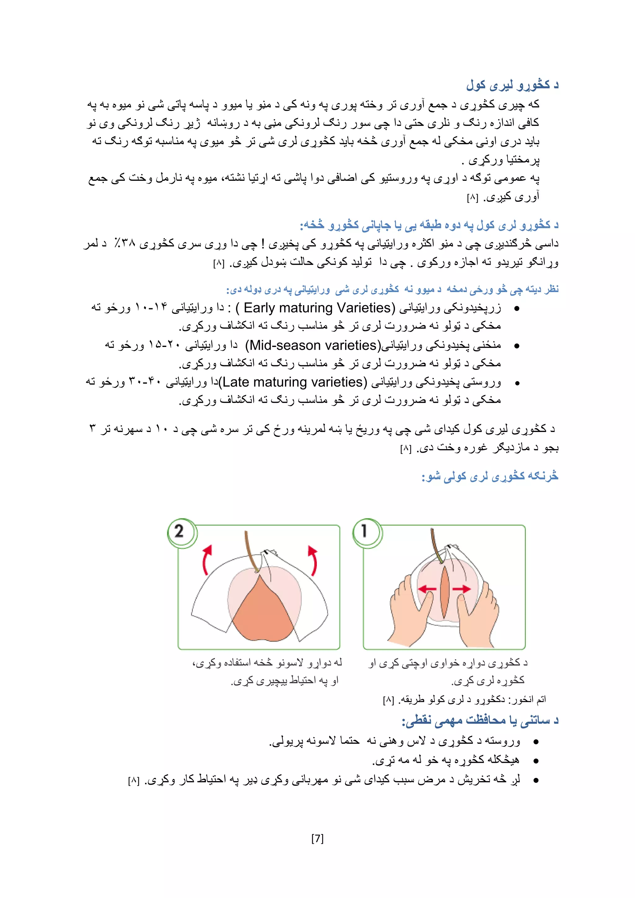 [7]
‫د‬‫کڅوړو‬‫کول‬ ‫ليری‬
‌‫که‌چیری‬‫کڅوړی‬‌‌‫د‌جمع‌آوری‌تر‌وخته‌پوری‌په‌ونه‌کی‌د‌مڼو‌یا‌میوو‌د‌پاسه‌پاتی‌شی‌نو‌میوه‌به‌په‬
‌‫کافی‌اندازه‌رنګ‌و‌نلری‌حتی‌دا‌چی‌سور‌رنګ‌لرونکی‌مڼی‌به‌د‌روښانه‌‌ژیړ‌رنګ‌لرونکی‌وی‌نو‬
‫باید‌دری‌اونۍ‌م‬‌‫خکی‌له‌جمع‌آوری‌څخه‌باید‬‌‫کڅوړی‬‌‫لری‌شی‌تر‌څو‬‌‫میوی‌په‌مناسبه‌توګه‌رنګ‬‌‫ته‬
‫پرمختی‬‫ا‌ورکړی‬‌‌.‌
‫په‌عمومی‌توګه‌د‌اوړی‌په‬‌‫وروستیو‬‌‫کی‌اضاف‬‫ی‬‌‫دوا‌پاشی‌ته‌اړتیا‌نشته‬،‌‫میو‬‌‫ه‌په‌نارمل‌وخت‌کی‌جمع‬
‫آوری‌کیږی‬.‌[۸]‌
‫په‬ ‫کول‬ ‫لری‬ ‫کڅوړو‬ ‫د‬‫یی‬ ‫طبقه‬ ‫دوه‬:‫څخه‬ ‫کڅوړو‬ ‫جاپانی‬ ‫یا‬
!‌‫داسی‌څرګندیږی‌چی‌د‌مڼو‌اکثره‌ورایټیانی‌په‌کڅوړو‌کی‌پخیږی‬‌‌‫چی‌دا‌وړی‌سری‌کڅوړی‬٪۳۸‌‌‌‫د‌لمر‬
.‫وړانګو‌تیریدو‌ته‌اجازه‌ورکوی‌.‌چی‌دا‌‌تولید‌کونکی‌حالت‌ښودل‌کیږی‬‌[۸]‌
‫دیته‬ ‫نظر‬‫شی‬ ‫لری‬ ‫کڅوړی‬ ‫نه‬ ‫ميوو‬ ‫د‬ ‫دمخه‬ ‫ورځی‬ ‫څو‬ ‫چی‬:‫دی‬ ‫ډوله‬ ‫دری‬ ‫په‬ ‫ورایټيانی‬
‌‫زرپخیدونکی‌ورایټیانی‬( Early maturing Varieties)‌‌‫:‌دا‌ورایټیانی‬۱۴-۱۰‌‌‌‫ورځو‌ته‬
.‫مخکی‌د‌ټولو‌نه‌ضرورت‌لری‌تر‌څو‌مناسب‌رنګ‌ته‌انکشاف‌ورکړی‬
‫منځنی‌پخیدونکی‌ورایټیانی‬(Mid-season varieties)‌‌‫دا‌ورایټیانی‬۲۰-۱۵‌‌‫ورځو‌ته‬
.‫مخکی‌د‌ټولو‌نه‌ضرورت‌لری‌تر‌څو‌مناسب‌رنګ‌ته‌انکشاف‌ورکړی‬
‌‫وروستی‌پخیدونکی‌ورایټیانی‬(Late maturing varieties)‌‫دا‌ورایټیانی‬۴۰-۳۰‌‌‫ورځو‌ته‬
.‫مخکی‌د‌ټولو‌نه‌ضرورت‌لری‌تر‌څو‌مناسب‌رنګ‌ته‌انکشاف‌ورکړی‬
‌‫د‌کڅوړی‬‌‫لیری‌کول‌کیدای‌شی‌چی‌په‌وریځ‌یا‌ښه‌لمرینه‌ورځ‌کی‌تر‌سره‌شی‬‌‌‫چی‌د‬۱۰‌‫د‌سهر‬‌‫نه‌تر‬۳‌
‫بجو‌د‌مازدیګر‬‌.‫غوره‌وخت‌دی‬‌[۸]‌
:‫شو‬ ‫کولی‬ ‫لری‬ ‫کڅوړی‬ ‫څرنګه‬
‌
‌
‌
‌
‌
‌
:‫نقطی‬ ‫مهمی‬ ‫محافظت‬ ‫یا‬ ‫ساتنی‬ ‫د‬
.‫وروسته‌د‌کڅوړی‌د‌الس‌وهنی‌نه‌‌حتما‌السونه‌پریولی‬‌
‌‫هیڅکله‬.‫کڅوړه‌په‌خو‌له‌مه‌تړی‬‌
.‫لږ‌څه‌تخریش‌د‌مرض‌سبب‌کیدای‌شی‌نو‌مهربانی‌وکړی‌ډیر‌په‌احتیاط‌کار‌وکړی‬‌[۸]‌
،‫وکړی‬ ‫استفاده‬ ‫څخه‬ ‫السونو‬ ‫دواړو‬ ‫له‬
.‫کړی‬ ‫یيچيری‬ ‫احتياط‬ ‫په‬ ‫او‬
‫او‬ ‫کړی‬ ‫اوچتی‬ ‫خواوی‬ ‫دواړه‬ ‫کڅوړی‬ ‫د‬
.‫کړی‬ ‫لری‬ ‫کڅوړه‬
‌.‫اتم‌انځور:‌دکڅوړو‌د‌لری‌کولو‌طریقه‬[۸]
‌
 