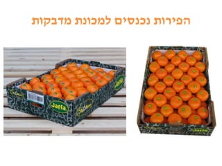 ‫מדבקות‬ ‫למכונת‬ ‫נכנסים‬ ‫הפירות‬
 