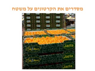 ‫משטח‬ ‫על‬ ‫הקרטונים‬ ‫את‬ ‫מסדרים‬
 