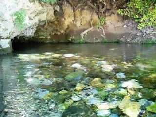 ‫طبیعت‬
‫انواع‬ ‫را‬ ‫آن‬ ‫اطراف‬ ‫که‬ ‫است‬ ‫منطقه‬ ‫سرد‬ ‫معدنی‬ ‫آب‬ ‫چشمه‬ ‫چشمه،بزرگترین‬ ‫دیو‬
‫اند‬ ‫گرفته‬ ‫فرا‬ ‫درختان‬ ‫و‬ ‫وگیاهان‬ ‫گل‬.‫پایین‬ ‫،در‬ ‫نیز‬ ‫دیگری‬ ‫معدنی‬ ‫آب‬ ‫چشمه‬
‫دارد‬ ‫قرار‬ ‫روستا‬ ‫دست‬.‫گونه‬ ‫نواع‬ ‫با‬ ‫زانوس‬ ‫دره‬ ‫و‬ ‫کندلوس‬ ‫رودخانه‬ ‫حواشی‬
‫روستاست‬ ‫طبیعی‬ ‫های‬ ‫جاذبه‬ ‫دیگر‬ ‫جانوری،از‬ ‫و‬ ‫گیاهی‬ ‫های‬.‫مسکونی‬ ‫بافت‬
‫سنتی‬,‫و‬ ‫اسالم‬ ‫از‬ ‫پیش‬ ‫دوره‬ ‫به‬ ‫مربوط‬ ‫گورستان‬ ‫باستانی،چندین‬ ‫های‬ ‫تپه‬
‫کرده‬ ‫تبدیل‬ ‫متمایزی‬ ‫فضای‬ ‫به‬ ‫را‬ ‫کندلوس‬ ‫محلی،روستای‬ ‫غنی‬ ‫فرهنگ‬
‫است‬.
 