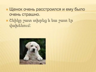  Щенок очень расстроился и ему было
очень страшно.
 Շնիկը շատ տխրեց և նա շատ էր
վախենում:
 