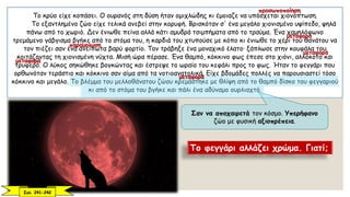 Το κρύο είχε κοπάσει. Ο ουρανός στη δύση ήταν ομιχλώδης κι έμοιαζε να υπόσχεται χιονόπτωση.
Το εξαντλημένο ζώο είχε τελικά ανεβεί στην κορυφή. Βρισκόταν σ' ένα μεγάλο χιονισμένο υψίπεδο, ψηλά
πάνω από το χωριό. Δεν ένιωθε πείνα αλλά κάτι αμυδρά τσιμπήματα από το τραύμα. Ένα χαμηλόφωνο
τρεμάμενο γάβγισμα βγήκε από το στόμα του, η καρδιά του χτυπούσε με κόπο κι ένιωθε το χέρι του θανάτου να
τον πιέζει σαν ένα ανείπωτα βαρύ φορτίο. Τον τράβηξε ένα μοναχικό έλατο· ξάπλωσε στην κουφάλα του
κοιτάζοντας τη χιονισμένη νύχτα. Μισή ώρα πέρασε. Ένα θαμπό, κόκκινο φως έπεσε στο χιόνι, αλλόκοτο και
τρυφερό. Ο λύκος σηκώθηκε βογκώντας και έστρεψε το ωραίο του κεφάλι προς το φως. Ήταν το φεγγάρι που
ορθωνόταν τεράστιο και κόκκινο σαν αίμα από τα νοτιοανατολικά. Είχε βδομάδες πολλές να παρουσιαστεί τόσο
κόκκινο και μεγάλο. Το βλέμμα του μελλοθάνατου ζώου κρεμάστηκε με θλίψη από το θαμπό δίσκο του φεγγαριού
κι από το στόμα του βγήκε και πάλι ένα αδύναμο ουρλιαχτό.
Σαν να αποχαιρετά τον κόσμο. Υπερήφανο
ζώο με φυσική αξιοπρέπεια.
Το φεγγάρι αλλάζει χρώμα. Γιατί;
Σελ. 241-242
μεταφορά
μεταφορά
μεταφορά
μεταφορά
προσωποποίηση
παρομοίωση
 