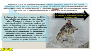 Με σπασμένα τα μέλη του έσυραν το λύκο στο χωριό. Γελούσαν, πανηγύριζαν, γιόρταζαν με ρακή και καφέ,
τραγουδούσαν, έβριζαν. Κανείς τους δεν έβλεπε την ομορφιά του χιονισμένου δάσους ούτε τη λάμψη των υψιπέδων
ούτε το κόκκινο φεγγάρι που κρεμόταν πάνω από το Σασσεράλ και που το αδύναμο φως του αντανακλούσαν οι κάννες
των όπλων τους, οι κρύσταλλοι του χιονιού και τα γυάλινα μάτια του σκοτωμένου λύκου.
ε΄ ενότητα «Το κρύο...σκοτωμένου λύκου»
Οι άνθρωποι με σκληρότητα εξοντώνουν τον
ετοιμοθάνατο λύκο.Ο άνθρωπος έχει αποκοπεί από το φυσικό περιβάλλον.
Είναι εισβολέας που αδιαφορεί για τους νόμους της
φύσης. Περιφρονεί τα πλάσματα της φύσης. Η
συμπεριφορά του δείχνει μεγαλύτερη αγριότητα από
εκείνη του άγριου ζώου, που στο κάτω κάτω αγωνίζεται
να επιβιώσει. Τους ανθρώπους τους κυριεύει εκδικητική
μανία. Δεν αρκούνται στο να τον σκοτώσουν αλλά τον
βασανίζουν και τον κακοποιούν. Οι «πολιτισμένοι»
άνθρωποι αποδεικνύονται κτηνώδεις, αλαζόνες,
μικροπρεπείς, άκαρδοι, θρασύδειλοι. Ο άνθρωπος δεν
ανέχεται ένα υπερήφανο ζώο να προσβάλλει την εξουσία
του πάνω στο φυσικό περιβάλλον.
Σελ. 242
μεταφορά
 