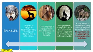 ΕΡΓΑΣΙΕΣ
1 Χωρίστε το
διήγημα σε
θεματικές ενότητες,
δίνοντας έναν
ενδεικτικό τίτλο σε
κάθε ενότητα.
2 Πώς επηρεάζει ο
βαρύς χειμώνας
τους ανθρώπους και
τα ζώα της
περιοχής;
3 Πώς προσπαθεί
να επιβιώσει η αγέλη
των λύκων; Γιατί
μερικοί ξέκοψαν από
την αγέλη και ποιους
κινδύνους διέτρεξαν;
4 Πώς αντιδρά ο
ετοιμοθάνατος λύκος
και πώς οι άνθρωποι
που τον εξόντωσαν;
Να σχολιάσετε και
να χαρακτηρίσετε
τη συμπεριφορά των
ανθρώπων.
Σελ. 243
 