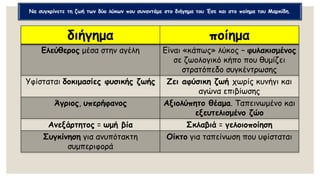 διήγημα ποίημα
Ελεύθερος μέσα στην αγέλη Είναι «κάπως» λύκος – φυλακισμένος
σε ζωολογικό κήπο που θυμίζει
στρατόπεδο συγκέντρωσης
Υφίσταται δοκιμασίες φυσικής ζωής Ζει αφύσικη ζωή χωρίς κυνήγι και
αγώνα επιβίωσης
Άγριος, υπερήφανος Αξιολύπητο θέαμα. Ταπεινωμένο και
εξευτελισμένο ζώο
Ανεξάρτητος = ωμή βία Σκλαβιά = γελοιοποίηση
Συγκίνηση για ανυπότακτη
συμπεριφορά
Οίκτο για ταπείνωση που υφίσταται
Να συγκρίνετε τη ζωή των δύο λύκων που συναντάμε στο διήγημα του Έσε και στο ποίημα του Μαρκίδη.
 