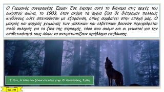 O Γερμανός συγγραφέας Έρμαν Έσε έγραψε αυτό το διήγημα στις αρχές του
εικοστού αιώνα, το 1903, όταν ακόμη τα άγρια ζώα δε διέτρεχαν πολλούς
κινδύνους ούτε απειλούνταν με εξαφάνιση, όπως συμβαίνει στην εποχή μας. O
μακρύς και ψυχρός χειμώνας των γαλλικών και ελβετικών βουνών περιγράφεται
πολύ σκληρός για τα ζώα της περιοχής, τόσο που ακόμα και οι γνωστοί για την
επιθετικότητά τους λύκοι να αντιμετωπίζουν πρόβλημα επιβίωσης.
Έ. Έσε, Η πόλη των ξένων στο νότο, μτφρ. Θ. Λουπασάκης, Σμίλη
Σελ. 239
 