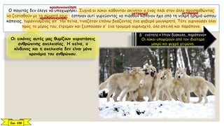 Ο παγετός δεν έλεγε να υποχωρήσει. Συχνά οι λύκοι κάθονταν ακίνητοι ο ένας πλάι στον άλλο προσπαθώντας
να ζεσταθούν με τα σώματά τους · έστηναν αυτί γυρεύοντας να πιάσουν κάποιον ήχο από τη νεκρή ερημιά ώσπου
κάποιος, τυραννισμένος απ' την πείνα, τιναζόταν επάνω βγάζοντας ένα φοβερό μουγκρητό. Τότε γυρνούσαν όλοι
προς το μέρος του, έτρεμαν και ξεσπούσαν σ' ένα τρομερό ουρλιαχτό, όλο απειλή και παράπονο.
β΄ ενότητα «Ήταν δύσκολη...παράπονο»
Οι λύκοι υποφέρουν από τον ιδιαίτερα
μακρύ και ψυχρό χειμώνα.
Οι εικόνες αυτές μας θυμίζουν περιστάσεις
ανθρώπινης απελπισίας. Η πείνα, ο
κίνδυνος και η απελπισία δεν είναι μόνο
προνόμια του ανθρώπου.
Σελ. 239
μεταφορά μεταφορά
προσωποποίηση
προσωποποίηση
 