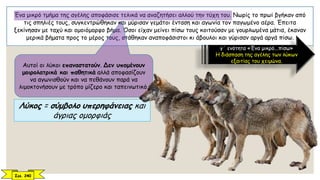 Ένα μικρό τμήμα της αγέλης αποφάσισε τελικά να αναζητήσει αλλού την τύχη του. Νωρίς το πρωί βγήκαν από
τις σπηλιές τους, συγκεντρώθηκαν και μύρισαν γεμάτοι ένταση και αγωνία τον παγωμένο αέρα. Έπειτα
ξεκίνησαν με ταχύ και ομοιόμορφο βήμα. Όσοι είχαν μείνει πίσω τους κοιτούσαν με γουρλωμένα μάτια, έκαναν
μερικά βήματα προς το μέρος τους, στάθηκαν αναποφάσιστοι κι άβουλοι και γύρισαν αργά αργά πίσω.
γ΄ ενότητα «Ένα μικρό...πίσω»
Η διάσπαση της αγέλης των λύκων
εξαιτίας του χειμώνα.
Λύκος = σύμβολο υπερηφάνειας και
άγριας ομορφιάς
Αυτοί οι λύκοι επαναστατούν. Δεν υπομένουν
μοιρολατρικά και παθητικά αλλά αποφασίζουν
να αγωνισθούν και να πεθάνουν παρά να
λιμοκτονήσουν με τρόπο μίζερο και ταπεινωτικό.
Σελ. 240
 