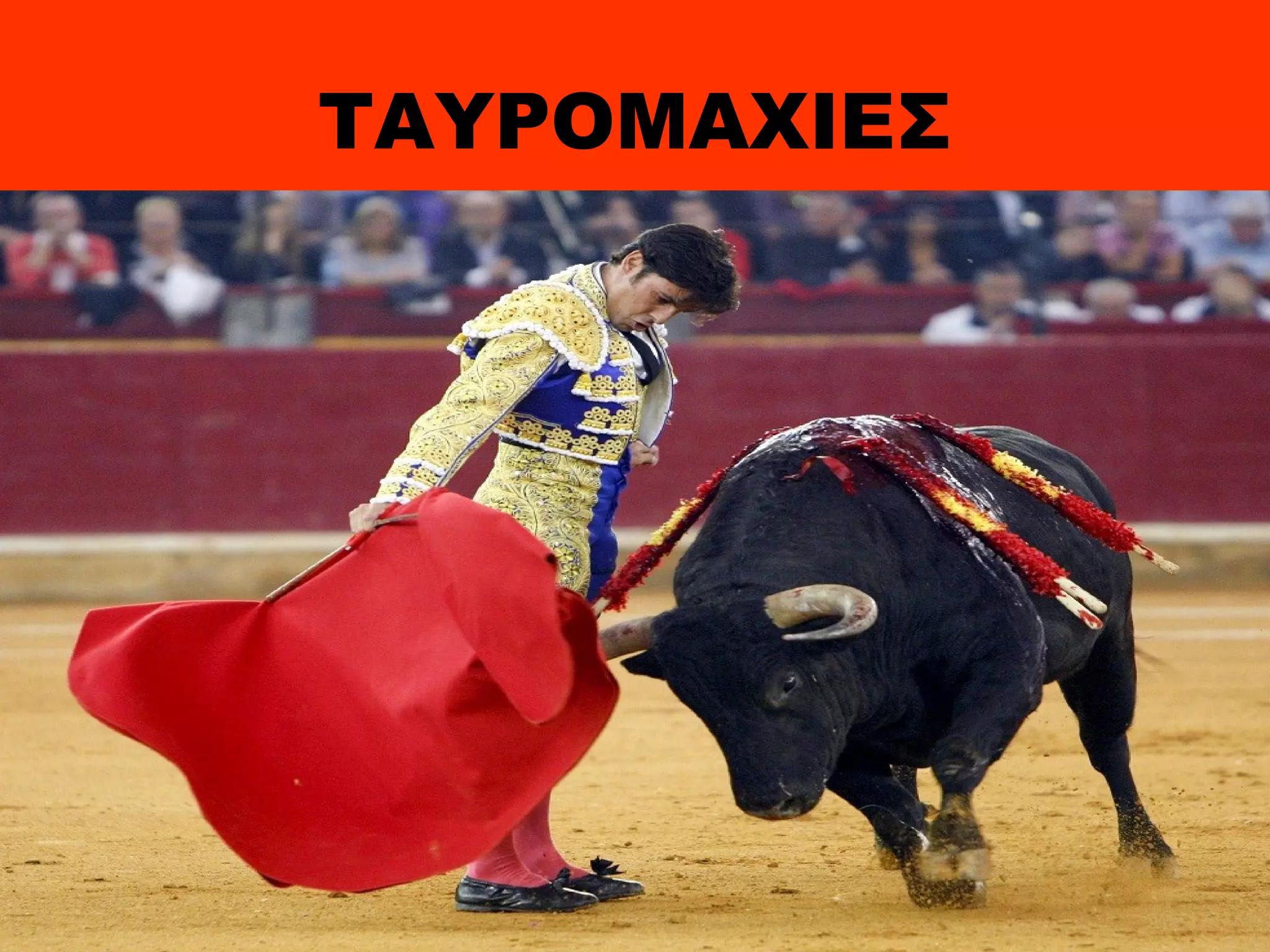 ΤΑΥΡΟΜΑΧΙΕΣ
 