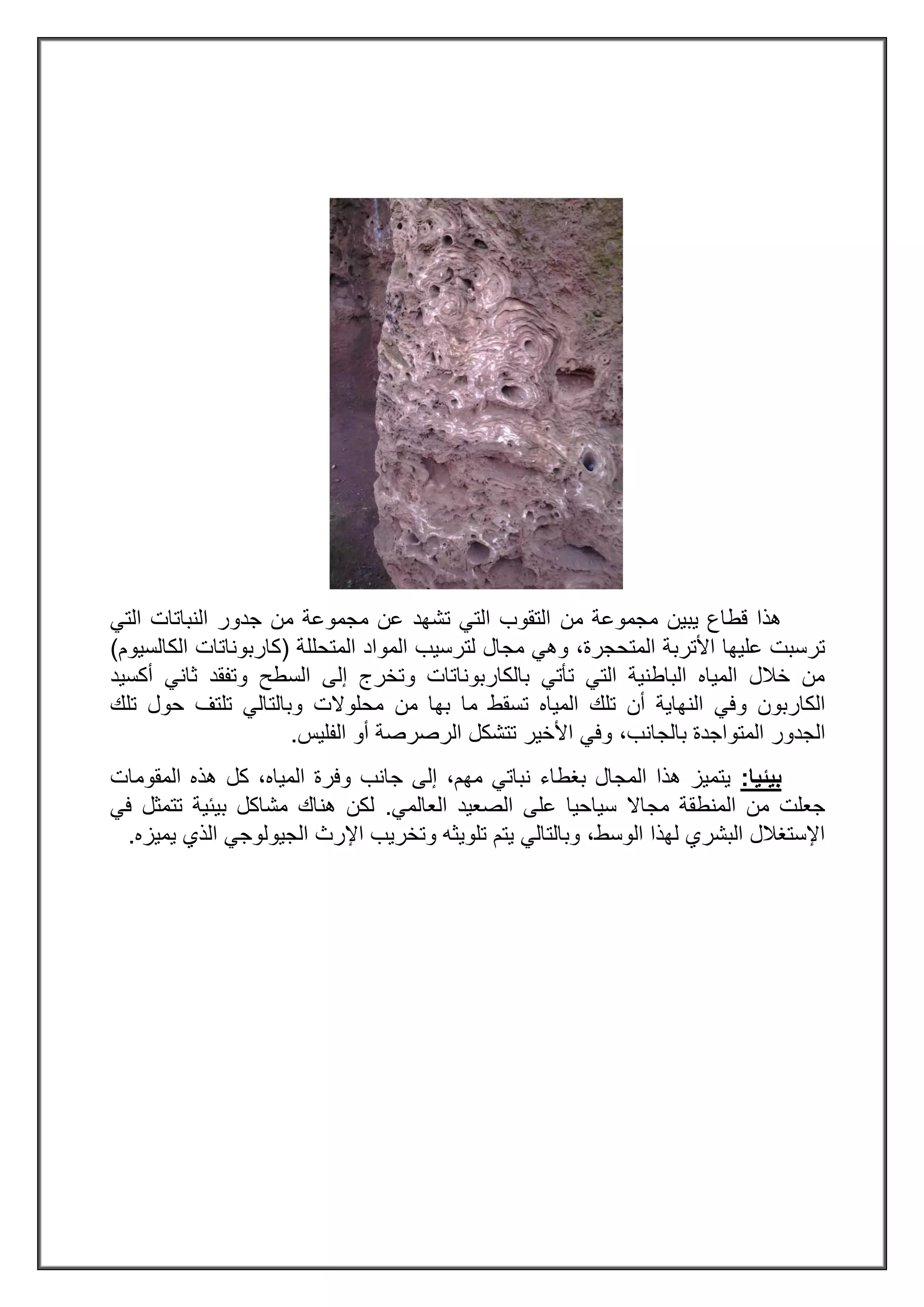 ‫من‬ ‫مجموعة‬ ‫يبين‬ ‫قطاع‬ ‫هذا‬‫النباتات‬ ‫جدور‬ ‫من‬ ‫مجموعة‬ ‫عن‬ ‫تشهد‬ ‫التي‬ ‫التقوب‬‫التي‬
‫المتحللة‬ ‫المواد‬ ‫لترسيب‬ ‫مجال‬ ‫وهي‬ ،‫المتحجرة‬ ‫األتربة‬ ‫عليها‬ ‫ترسبت‬(‫الكالسيوم‬ ‫كاربوناتات‬)
‫أكسيد‬ ‫ثاني‬ ‫وتفقد‬ ‫السطح‬ ‫إلى‬ ‫وتخرج‬ ‫بالكاربوناتات‬ ‫تأتي‬ ‫التي‬ ‫الباطنية‬ ‫المياه‬ ‫خالل‬ ‫من‬
‫المياه‬ ‫تلك‬ ‫أن‬ ‫النهاية‬ ‫وفي‬ ‫الكاربون‬‫م‬ ‫تسقط‬‫تلك‬ ‫حول‬ ‫تلتف‬ ‫وبالتالي‬ ‫محلوالت‬ ‫من‬ ‫بها‬ ‫ا‬
،‫بالجانب‬ ‫المتواجدة‬ ‫الجدور‬‫الف‬ ‫أو‬ ‫الرصرصة‬ ‫تتشكل‬ ‫األخير‬ ‫وفي‬‫ليس‬.
‫بيئيا‬:‫المقومات‬ ‫هذه‬ ‫كل‬ ،‫المياه‬ ‫وفرة‬ ‫جانب‬ ‫إلى‬ ،‫مهم‬ ‫نباتي‬ ‫بغطاء‬ ‫المجال‬ ‫هذا‬ ‫يتميز‬
‫العالمي‬ ‫الصعيد‬ ‫على‬ ‫سياحيا‬ ‫مجاال‬ ‫المنطقة‬ ‫من‬ ‫جعلت‬.‫تتمثل‬ ‫بيئية‬ ‫مشاكل‬ ‫هناك‬ ‫لكن‬‫في‬
‫يميزه‬ ‫الذي‬ ‫الجيولوجي‬ ‫اإلرث‬ ‫وتخريب‬ ‫تلويثه‬ ‫يتم‬ ‫وبالتالي‬ ،‫الوسط‬ ‫لهذا‬ ‫البشري‬ ‫اإلستغالل‬.
 