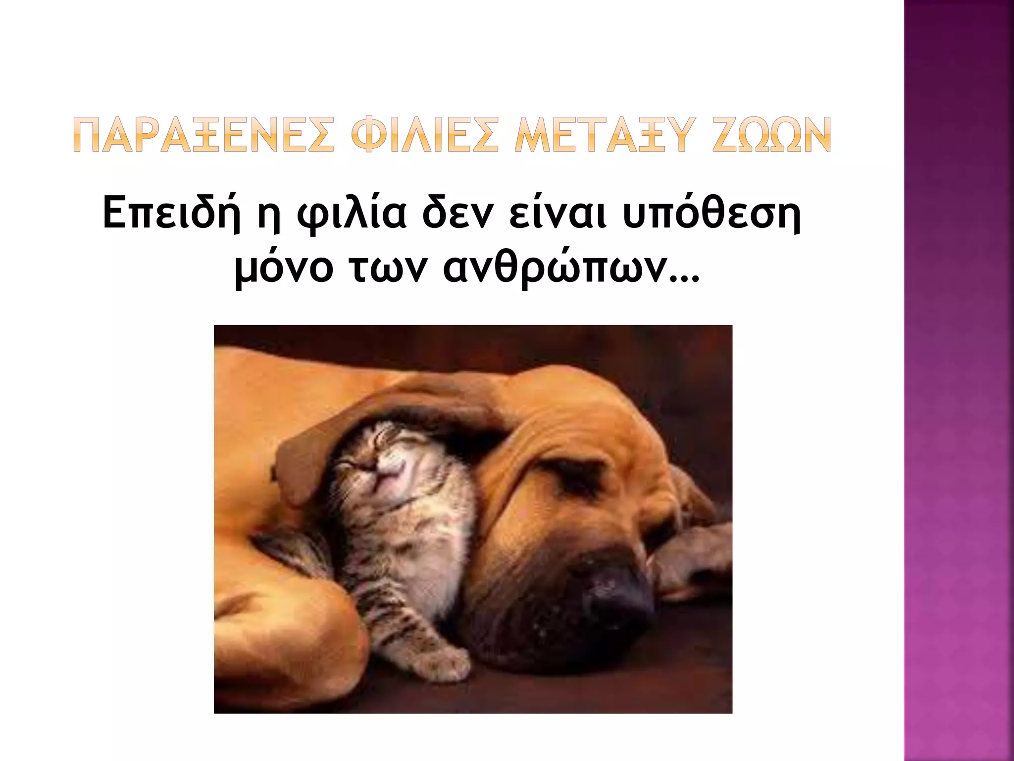 Επειδή η φιλία δεν είναι υπόθεση
μόνο των ανθρώπων…
 