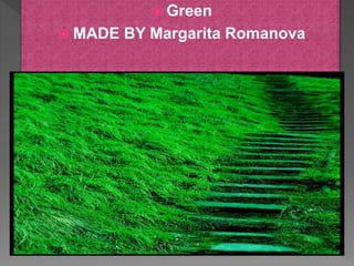  Green
 MADE BY Margarita Romanova
 