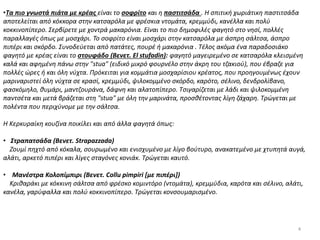 •Τα πιο γνωστά πιάτα με κρέας είναι το σοφρίτο και η παστιτσάδα . Η σπιτική χωριάτικη παστιτσάδα
αποτελείται από κόκκορα στην κατσαρόλα με φρέσκια ντομάτα, κρεμμύδι, κανέλλα και πολύ
κοκκινοπίπερο. Σερβίρετε με χοντρά μακαρόνια. Είναι το πιο δημοφιλές φαγητό στο νησί, πολλές
παραλλαγές όπως με μοσχάρι. Το σοφρίτο είναι μοσχάρι στην κατσαρόλα με άσπρη σάλτσα, άσπρο
πιπέρι και σκόρδο. Συνοδεύεται από πατάτες, πουρέ ή μακαρόνια . Τέλος ακόμα ένα παραδοσιάκο
φαγητό με κρέας είναι το στουφάδο (Βενετ. El stufadin): φαγητό μαγειρεμένο σε κατσαρόλα κλεισμένη
καλά και αφημένη πάνω στην "stua" (ειδικό μικρό φουρνέλο στην άκρη του τζακιού), που έβραζε για
πολλές ώρες ή και όλη νύχτα. Πρόκειται για κομμάτια μοσχαρίσιου κρέατος, που προηγουμένως έχουν
μαριναριστεί όλη νύχτα σε κρασί, κρεμμύδι, ψιλοκομμένο σκόρδο, καρότο, σέλινο, δενδρολίβανο,
φασκόμηλο, θυμάρι, μαντζουράνα, δάφνη και αλατοπίπερο. Τσιγαρίζεται με λάδι και ψιλοκομμένη
παντσέτα και μετά βράζεται στη "stua" με όλη την μαρινάτα, προσθέτοντας λίγη ζάχαρη. Τρώγεται με
πολέντα που περιχύνομε με την σάλτσα.
Η Κερκυραίκη κουζίνα ποικίλει και από άλλα φαγητά όπως:
• Στραπατσάδα (Βενετ. Strapazzada)
Ζουμί πηχτό από κόκαλα, σουρωμένο και ενισχυμένο με λίγο βούτυρο, ανακατεμένο με χτυπητά αυγά,
αλάτι, αρκετό πιπέρι και λίγες σταγόνες κονιάκ. Τρώγεται καυτό.
• Μανέστρα Κολοπίμπιρι (Βενετ. Collu pimpiri [με πιπέρι])
Κριθαράκι με κόκκινη σάλτσα από φρέσκο κομιντόρο (ντομάτα), κρεμμύδια, καρότα και σέλινο, αλάτι,
κανέλα, γαρύφαλλα και πολύ κοκκινοπίπερο. Τρώγεται κονσουμαρισμένο.
4
 
