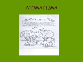 ΙΟΜΑΖΩΜΑ
 