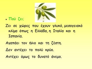  Πού ζει;
Ζει σε χώρες που έχουν γλυκό, μεσογειακό
κλίμα όπως η Ελλάδα, η Ιταλία και η
Ισπανία.
Αγαπάει τον ήλιο και τη ζέστη.
Δεν αντέχει το πολύ κρύο.
Αντέχει όμως το δυνατό άνεμο.
 