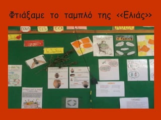 Φτιάξαμε το ταμπλό της <<Ελιάς>>
 