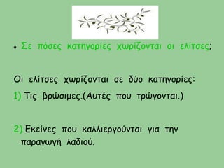  Σε πόσες κατηγορίες χωρίζονται οι ελίτσες;
Οι ελίτσες χωρίζονται σε δύο κατηγορίες:
1) Τις βρώσιμες.(Αυτές που τρώγονται.)
2) Εκείνες που καλλιεργούνται για την
παραγωγή λαδιού.
 