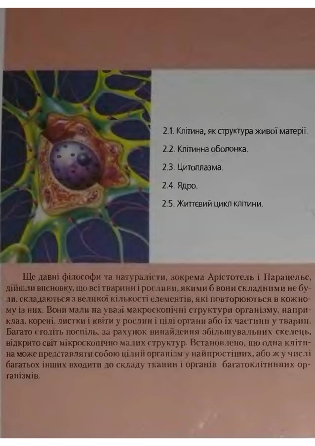 Гістологія з основами гістологічної техніки (Пішак В.П.)