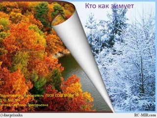 Кто как зимует
Подготовила : воспитатель ГБОУ СОШ №364
Д. О. №1205
Котова Светлана Григорьевна
 