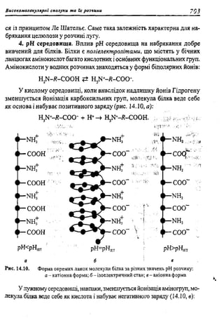 мороз а.с., луцевич д.д., яворська л.п.   медична хімія (2 вид.) - 2008