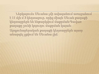 Ներկայումս Սեւանա լճի ավազանում առաջանում
է 11 մլն մ 3 կեղտաջուր, որից միայն Սեւան քաղաքի
կեղտաջրերն են ենթարկվում մաքրման:Գավառ
քաղաքը չունի կոյուղու մաքրման կայան:
Արդյունաբերական քաղաքի կեղտաջրերն այսօր
անարգել լցվում են Սեւանա լիճ:
 