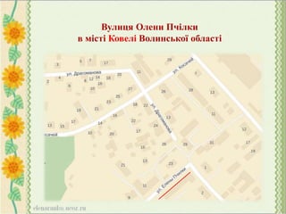 Вулиця Олени Пчілки
в місті Ковелі Волинської області
 