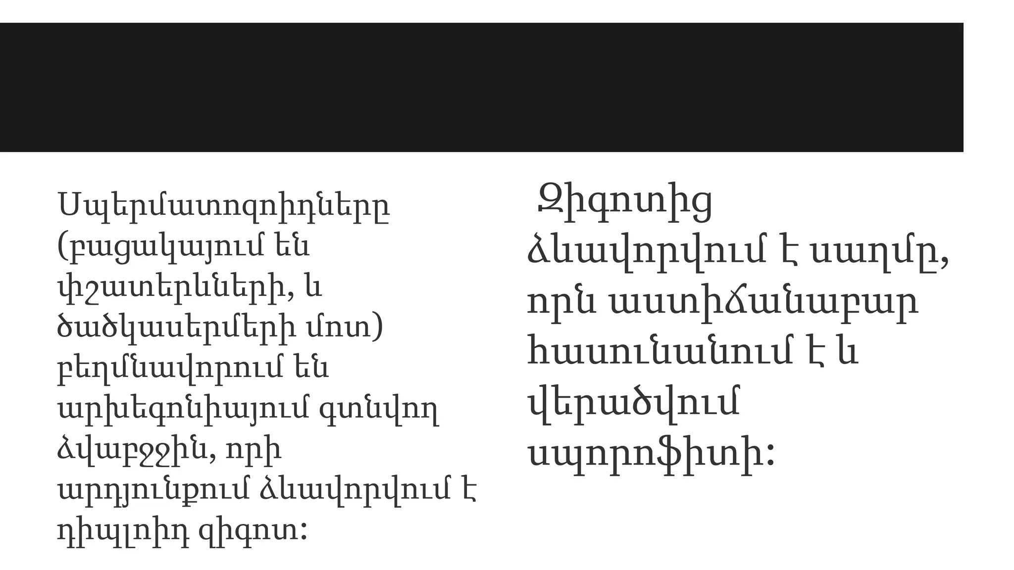 Սպերմատոզոիդները
(բացակայում են
փշատերևների, և
ծածկասերմերի մոտ)
բեղմնավորում են
արխեգոնիայում գտնվող
ձվաբջջին, որի
արդյունքում ձևավորվում է
դիպլոիդ զիգոտ:
Զիգոտից
ձևավորվում է սաղմը,
որն աստիճանաբար
հասունանում է և
վերածվում
սպորոֆիտի:
 