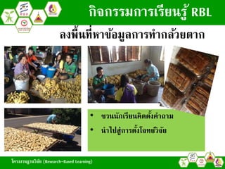 โครงงานฐานวิจัย (Research-Based Learning)
• ชวนนักเรียนคิดตั้งคาถาม
• นาไปสู่การตั้งโจทย์วิจัย
ลงพื้นที่หาข้อมูลการทากล้วยตาก
กิจกรรมการเรียนรู้ RBL
โครงงานฐานวิจัย (Research-Based Learning)
 