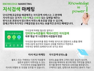 바이럴마케팅(블로그/지식인/카페) 제안서