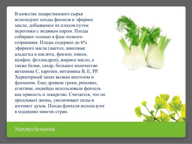 Если с утра болит голова после алкоголя что делать