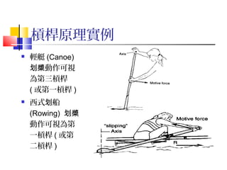 槓桿原理實例
 輕艇 (Canoe)
動作可視划槳
為第三槓桿
( 或第一槓桿 )
 西式 船划
(Rowing) 划槳
動作可視為第
一槓桿 ( 或第
二槓桿 )
 
