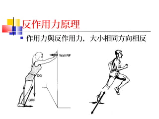 反作用力原理
 作用力與反作用力，大小相同方向相反
 