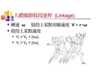 人體關節肢段連桿 (Linkage)
 轉速 ω 肢段上某點切線速度 V = r×ω
 肢段上某點速度
 Vx = V0x + (rω)x
 Vy = V0y + (rω)y
 